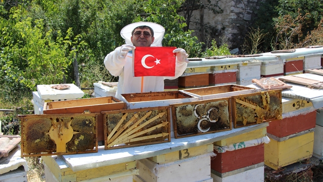 Amasya'da arıların seçimi sonuçlandı
