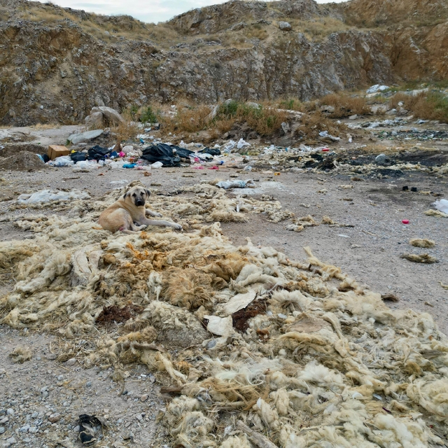 Çöplüğe dönen kum ocağında cevre felaketi yaşanıyor