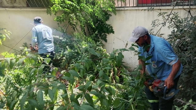 Mersin' de park ve yeşil alanlarda bakım çalışmaları sürüyor