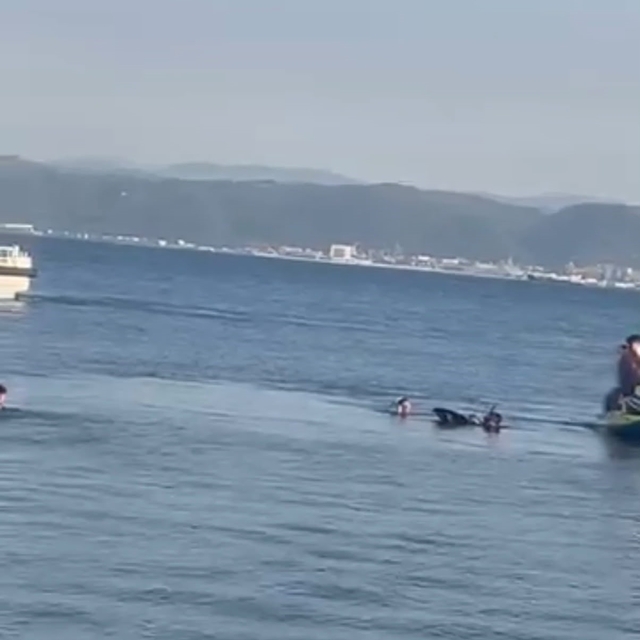 Darıca'da denize giren genç boğulma tehlikesi geçirdi