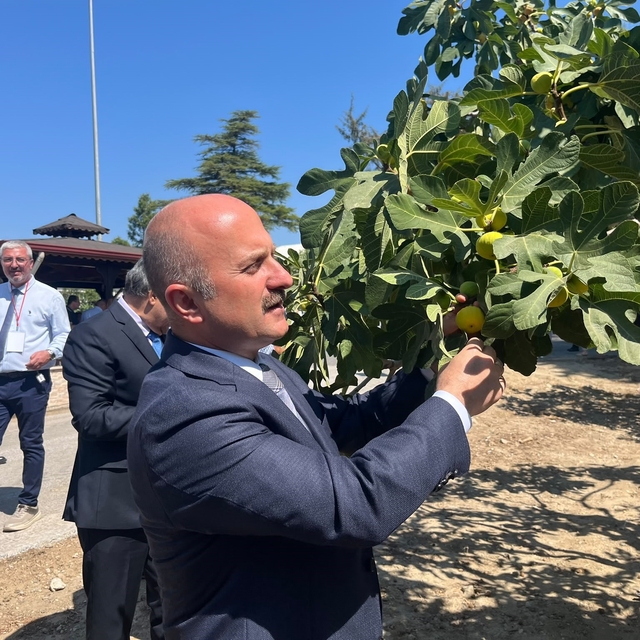 Aydın'a 100 milyonluk yatırım