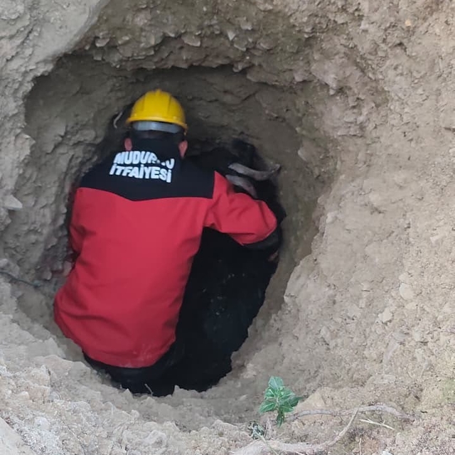 Bolu'da çukurda mahsur kalan keçiyi itfaiye ekipleri kurtardı