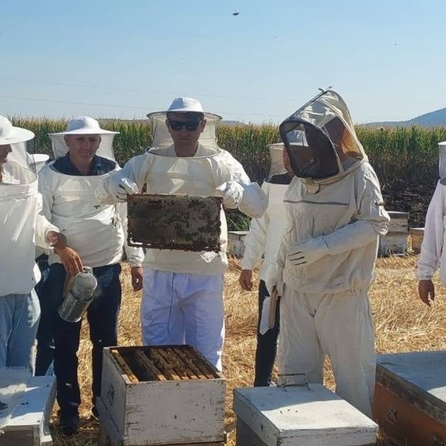 Kaymakam Özcan bal hasadına katıldı