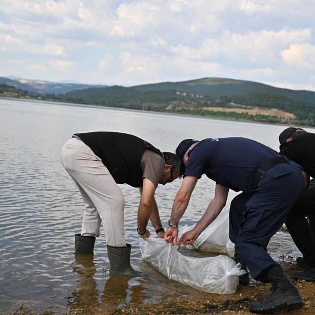Uşak'ta Göğem Göleti'ne pullu sazan yavruları bırakıldı