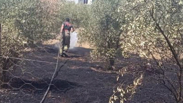 Dörtyol'da bahçe yangını kontrol altına alındı