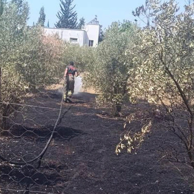 Dörtyol'da bahçe yangını kontrol altına alındı