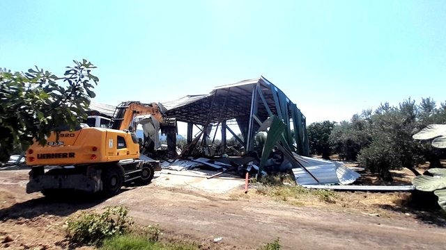 Bursa'da zeytinliğe yapılan kaçak depo böyle yıkıldı