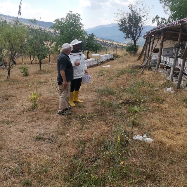 Emet'te arılı kovan tespit çalışması