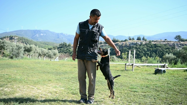 11 yılda yetiştirdiği 4 arama köpeğiyle, sayısız hayat kurtardı