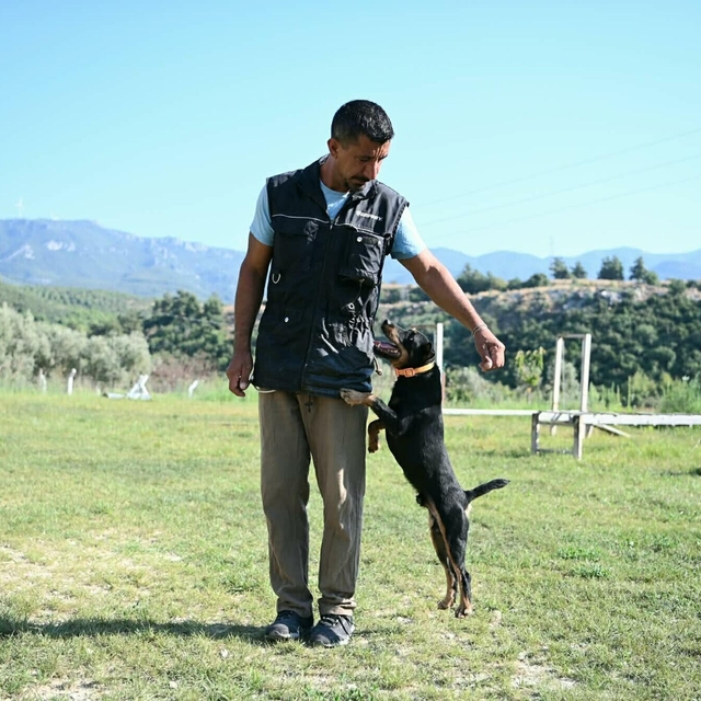 11 yılda yetiştirdiği 4 arama köpeğiyle, sayısız hayat kurtardı