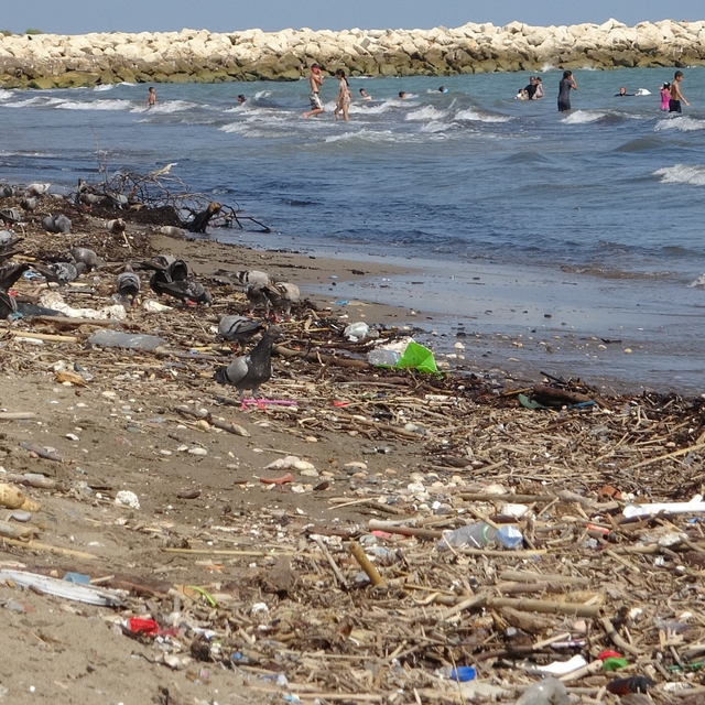 Mersin sahillerindeki kirlilik turizmi tehdit ediyor