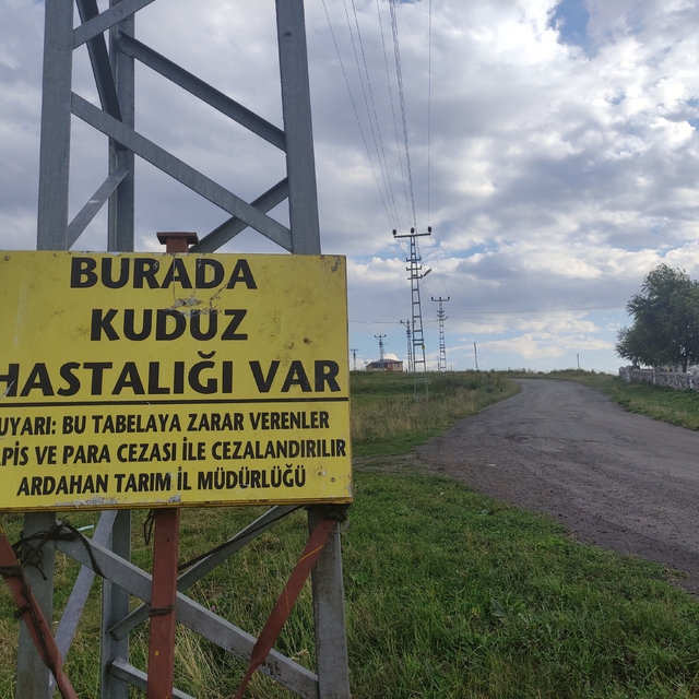 Kuduz nedeniyle mahalleye giriş çıkışlar yasaklandı
Mahalle girişine "Burad...