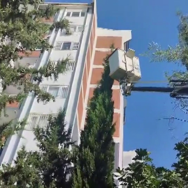 Mahsur kalan kediyi itfaiye kurtardı