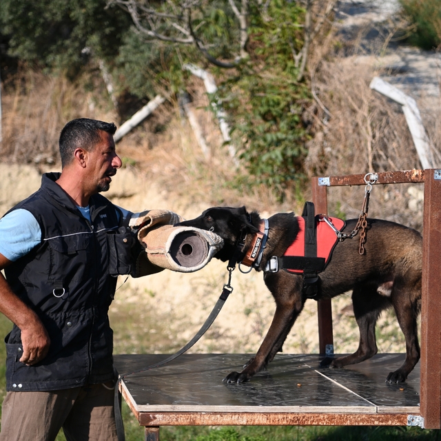 Yetiştirdiği kurtarma köpekleriyle doğal afetlerde birçok hayat kurtardı