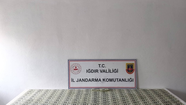Iğdır'da 2,5 milyon liralık sahte dolar operasyonu