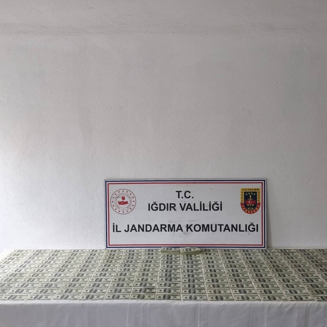 Iğdır'da 2,5 milyon liralık sahte dolar operasyonu