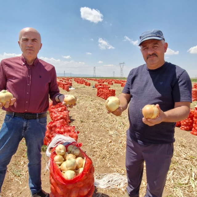 Karaman'da yazlık soğan üreticisinin yüzünü güldürüyor
Ziraat Odası Yönetim...