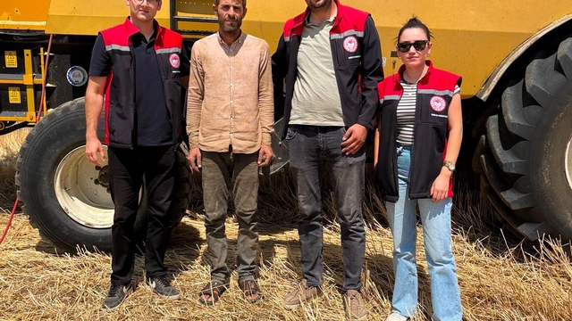 Otlukbeli'nde hasat mesaisi sürüyor