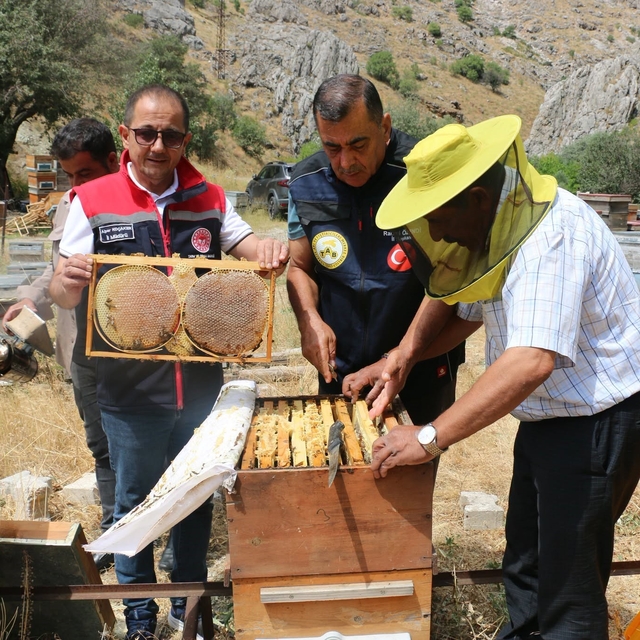 Erzincan'da bal hasadı başladı: Bin 500 ton rekolte bekleniyor