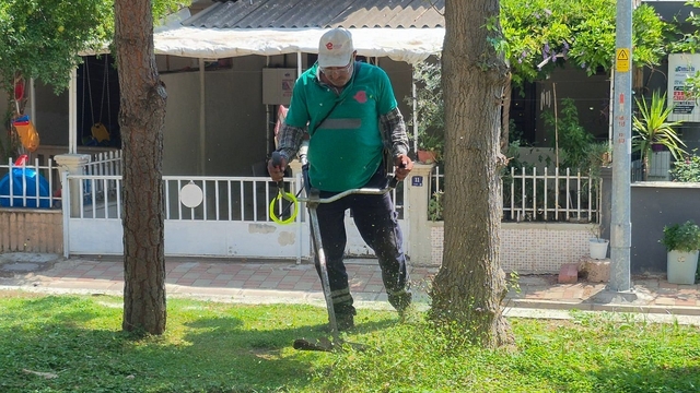 Efeler'de yeşil alanların bakımı sürüyor