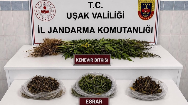 Uşak'ta kaçakçılık operasyonu