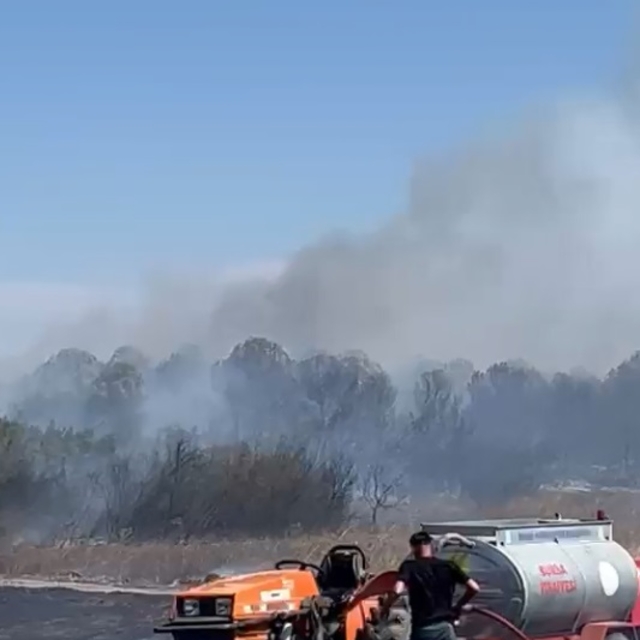 Anız yangınında alevler, ağaçlık alana sıçradı
