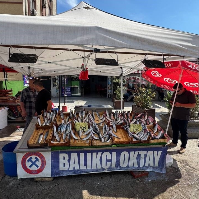 Balıkçı esnafından yeni sezon müjdesi, "Bu sene denizden balık fışkıracak"