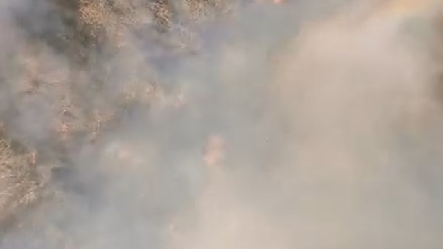 Anız yangınında alevler, ağaçlık alana sıçradı (2)
