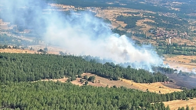 Emet'te ormanlık alana sıçrayan yangın kontrol altına alındı