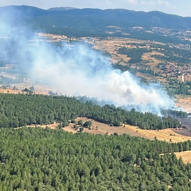 Emet'te ormanlık alana sıçrayan yangın kontrol altına alındı
