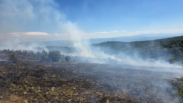 Kastamonu'da çıkan orman yangını kontrol altına alındı
