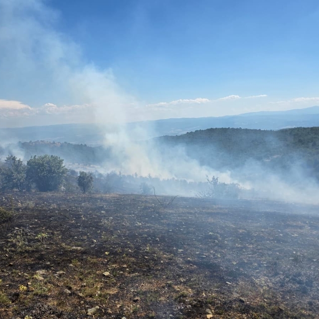 Kastamonu'da çıkan orman yangını kontrol altına alındı
