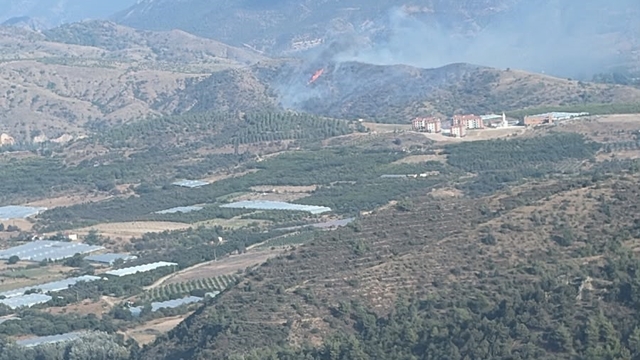 Bilecik'te orman yangını kontrol altına alındı