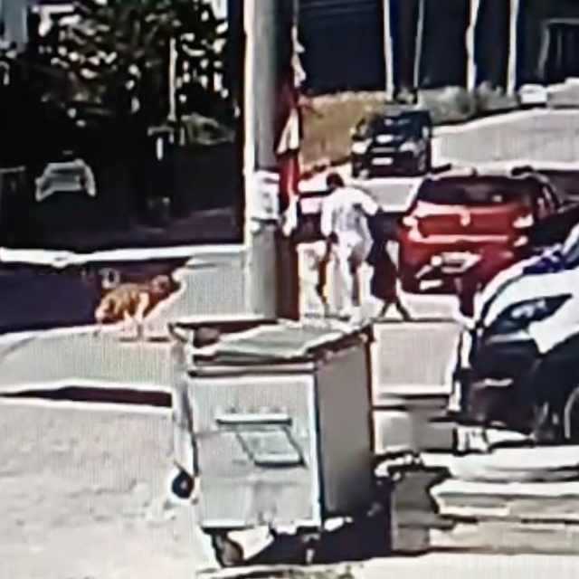Köpeğini gezdirirken başka bir köpeğin saldırısına uğradı