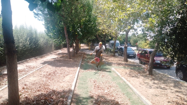 Köşk'te park ve yeşil alanlarda bakım çalışmaları sürüyor