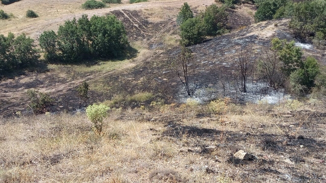 Anız yangınında yaklaşık 25 dönüm arazi küle döndü