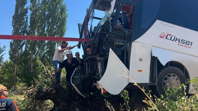 Diyarbakır'da yolcu otobüsü ağaca çıktı: 2 yaralı
