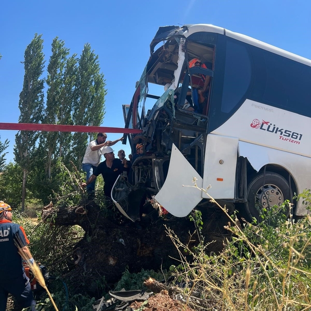 Diyarbakır'da yolcu otobüsü ağaca çıktı: 2 yaralı