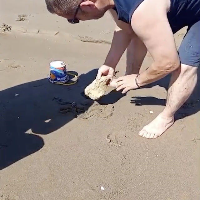 Plajda görülen yılan vatandaşlara panik yaşattı