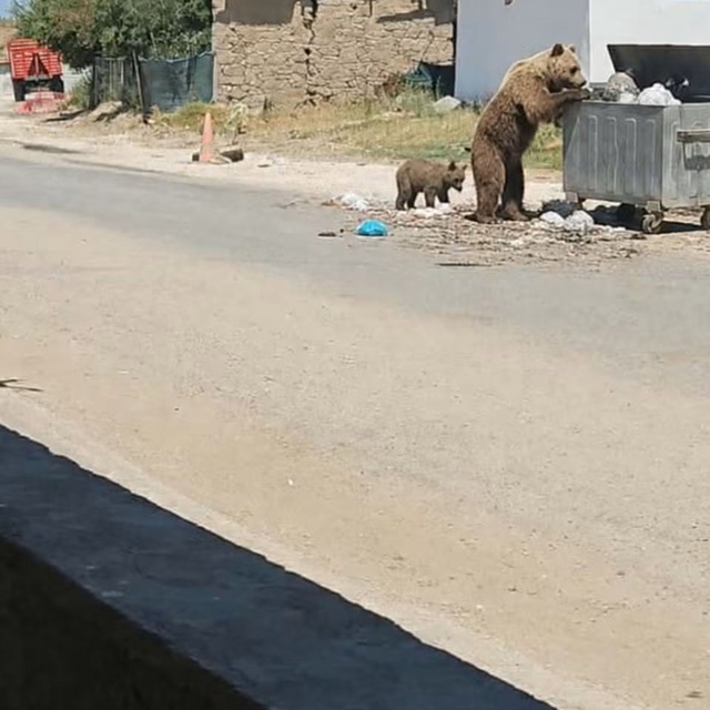 Bozayı Meriç'in köylerini geziyor