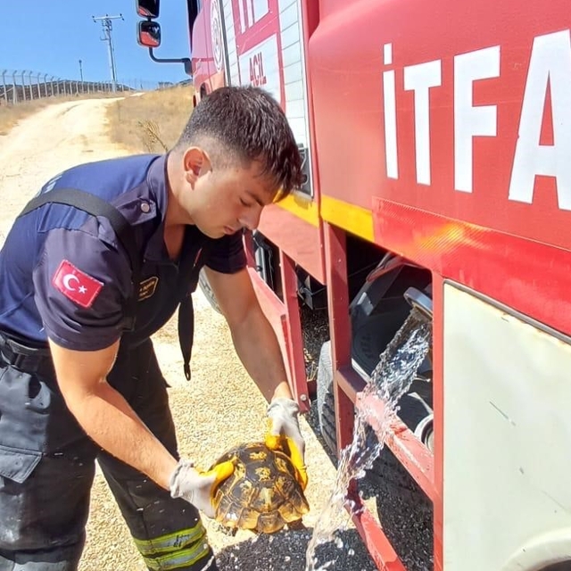 Eskişehir'de alevlerin arasında kalan kaplumbağayı itfaiye kurtardı