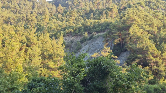 Galeri