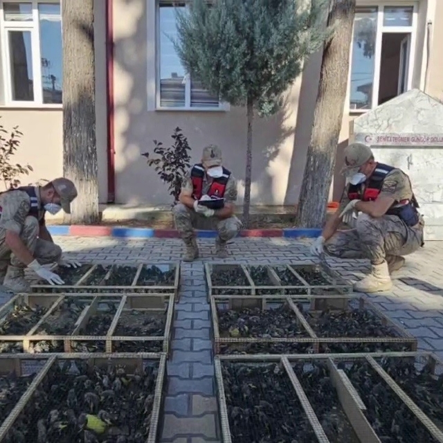 Suriye'ye geçirilmek istenen 2 bin 114 saka kuşuna 19 milyon 871 bin TL cez...