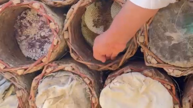 Pervari'de bal üretim alanında denetim