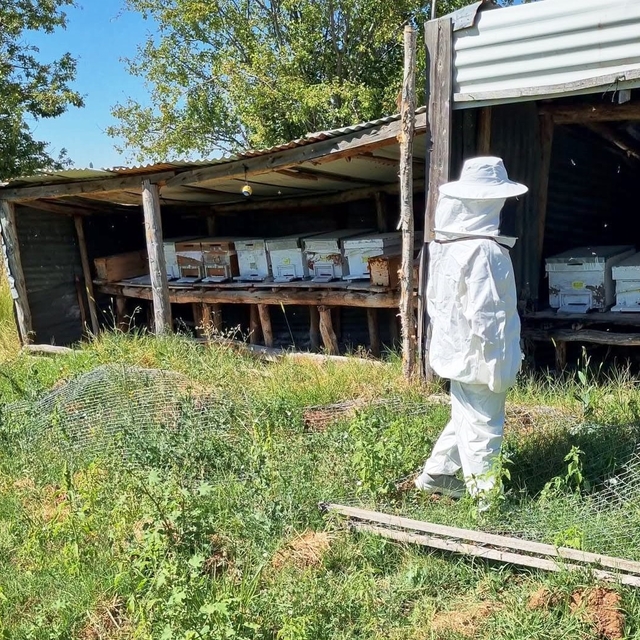 Hisarcık Karbasan köyünde arıcılık faaliyetleri denetlendi