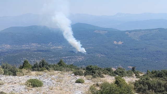 Muğla'da orman yangını