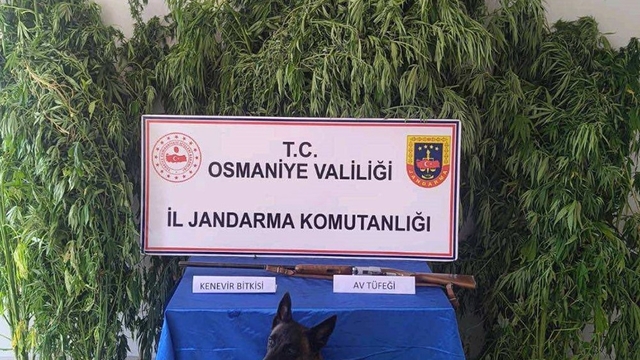 Osmaniye'de jandarma bir haftada 128 şüpheli yakaladı