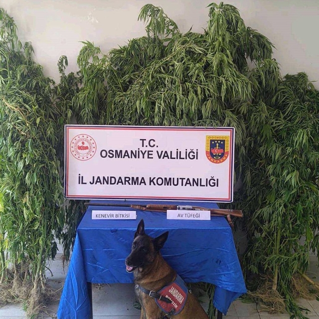 Osmaniye'de jandarma bir haftada 128 şüpheli yakaladı