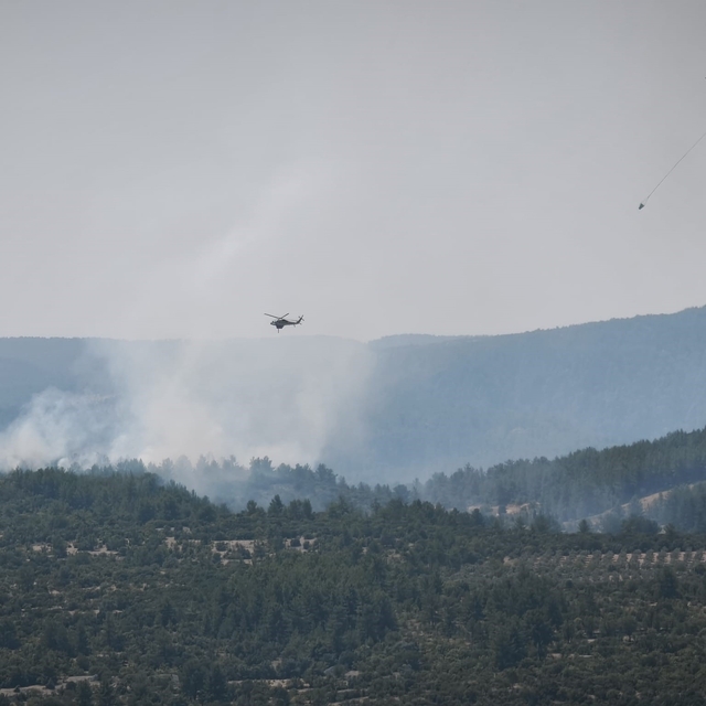 Muğla'da orman yangınına müdahale sürüyor