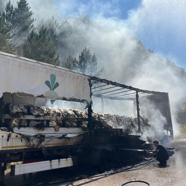 Bolu'da şeker yüklü tır alev aldı, yangın ormana sıçradı
